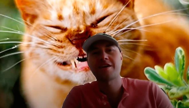 A lecturer against a background showing an angry cat