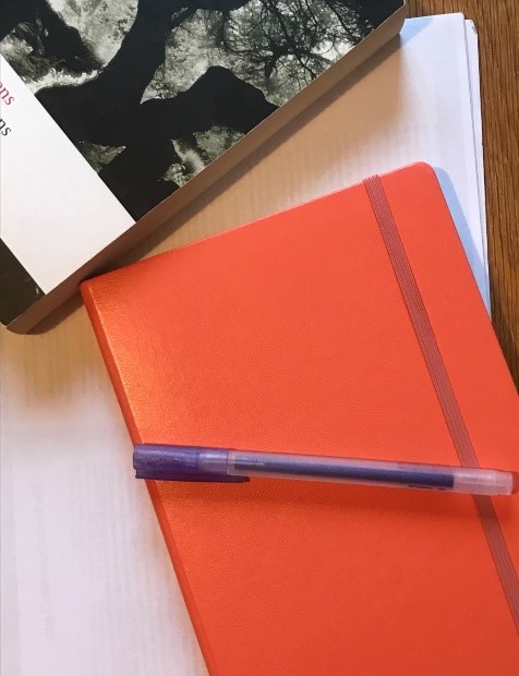 Red book and pen next to a reading book